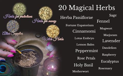 Witchcraft and Herbalism: Utilizing Witch Herbal Brews in Spells
